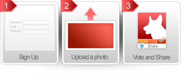 Sign up. Upload a Photo. Vote and Share.