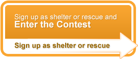 Sign up as shelter or rescue and enter the contest. Sign up as shelter or rescue.
